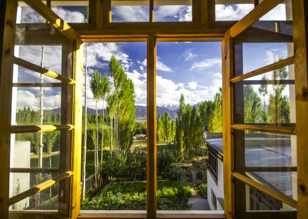 Cost of Wood Window Replacement in Hayden