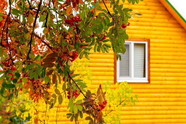Cost of Garden Window Replacement in Hayden